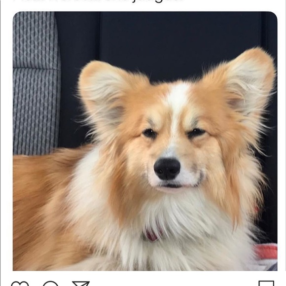 Meet your Posher, James - Picture 1 of 1